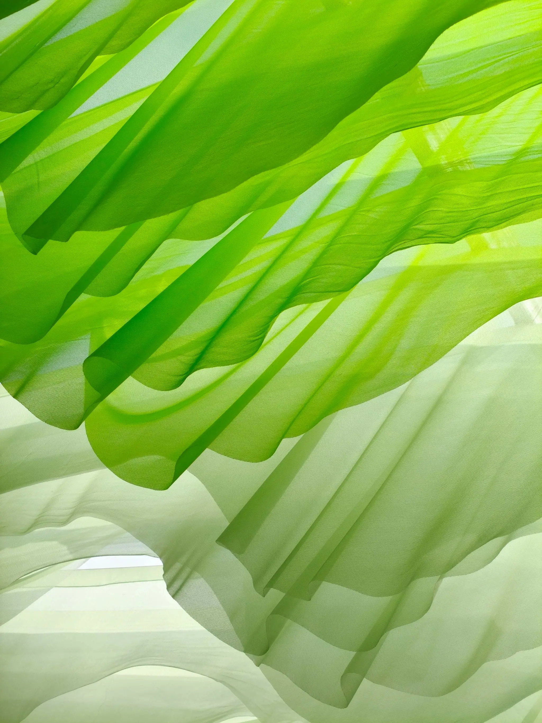 Vampire-the-Masquerade-5th-PT - Bruno Maschietto Barbera | PDF Online |  FlipHTML5, image size:2048x2731